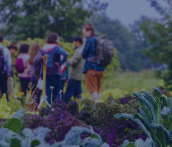 Engage and Educate Communities